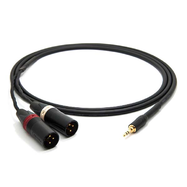Amphenol AUX To Dual XLR Male Cable Lebanon