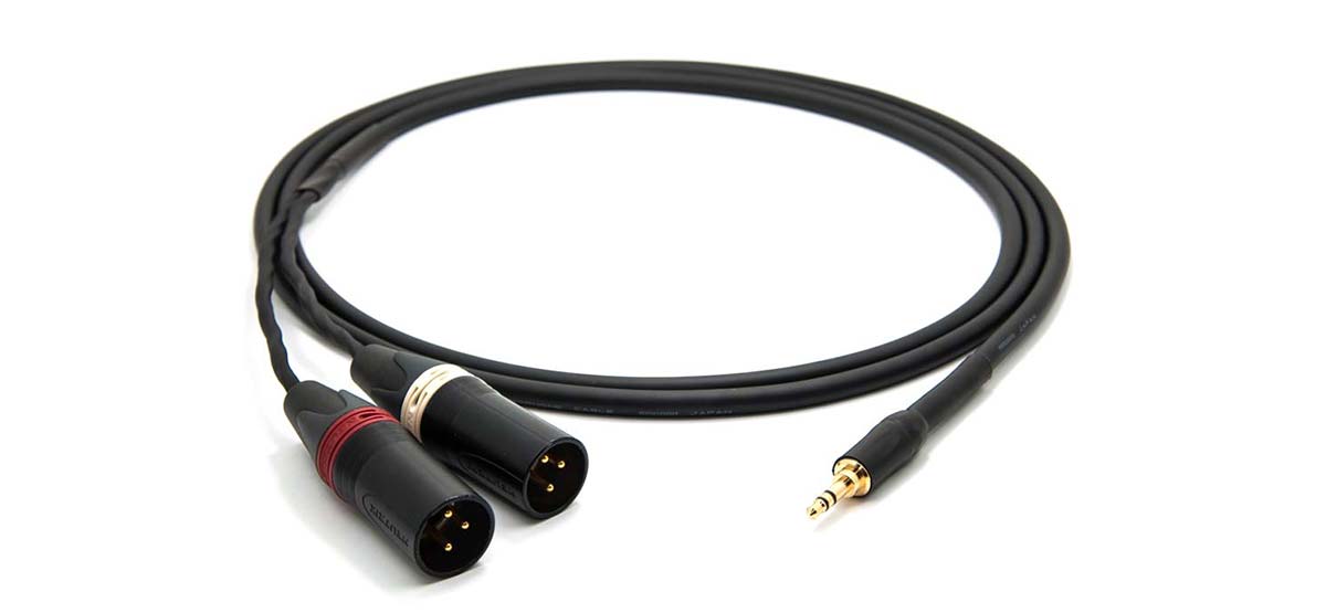 Amphenol AUX To Dual XLR Male Cable Lebanon