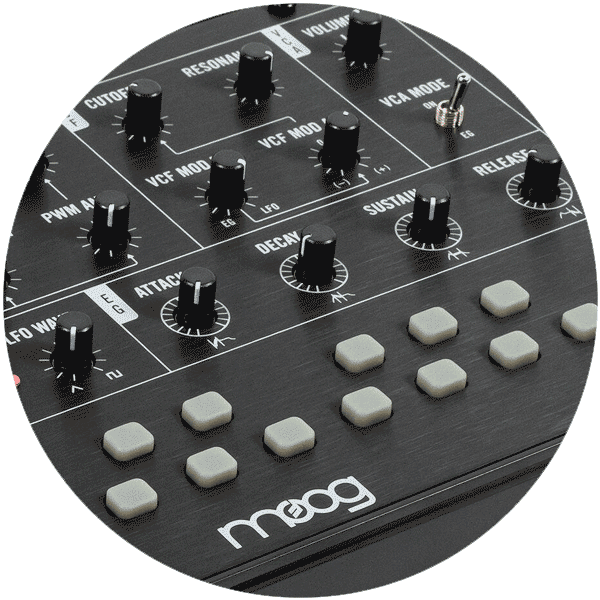 Moog Mavis | Lebanon | Per-vurt Store