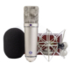Neumann U87 Lebanon