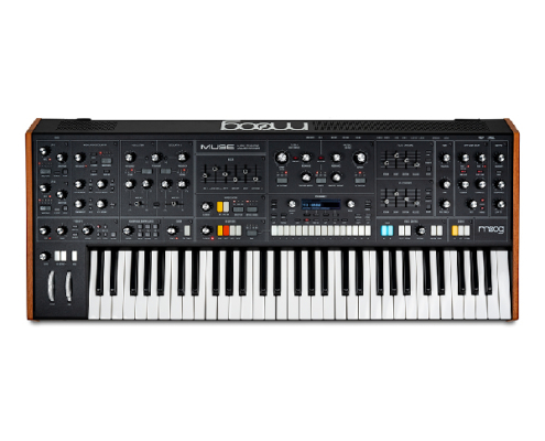 Moog Muse Lebanon 2-600 Moog Muse Lebanon