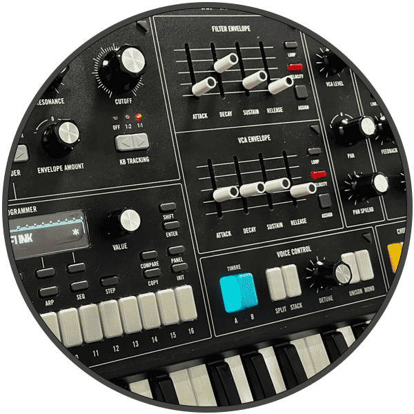 Moog Muse Lebanon C2 Moog Muse Lebanon