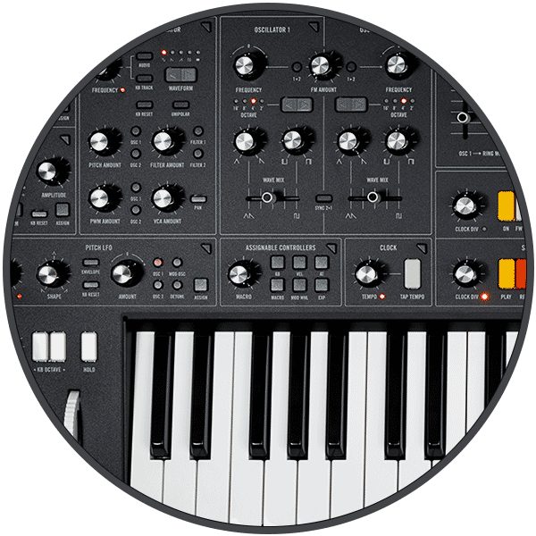 Moog Muse Lebanon C3