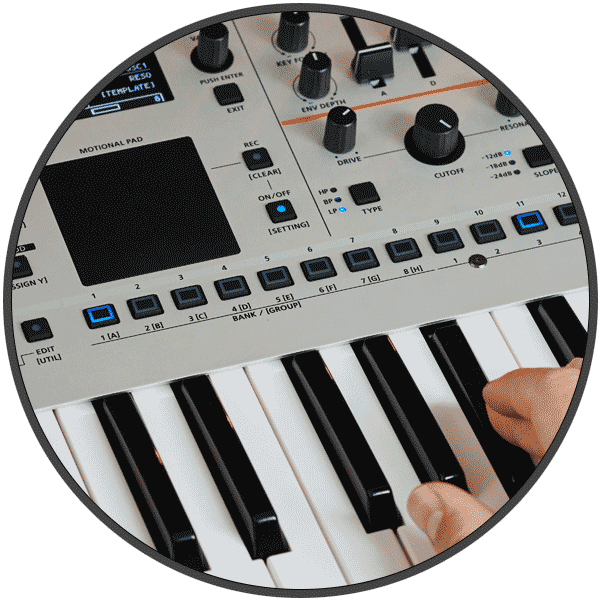 Roland Gaia 2 Lebanon